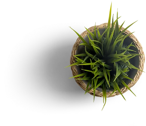 Bclub decorative element